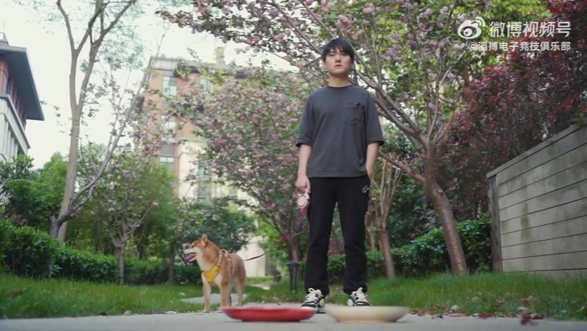 DB视讯官方登录入口相信“柴”选！TES发布对阵IG预热：聪明预测柴做出了它的选择！